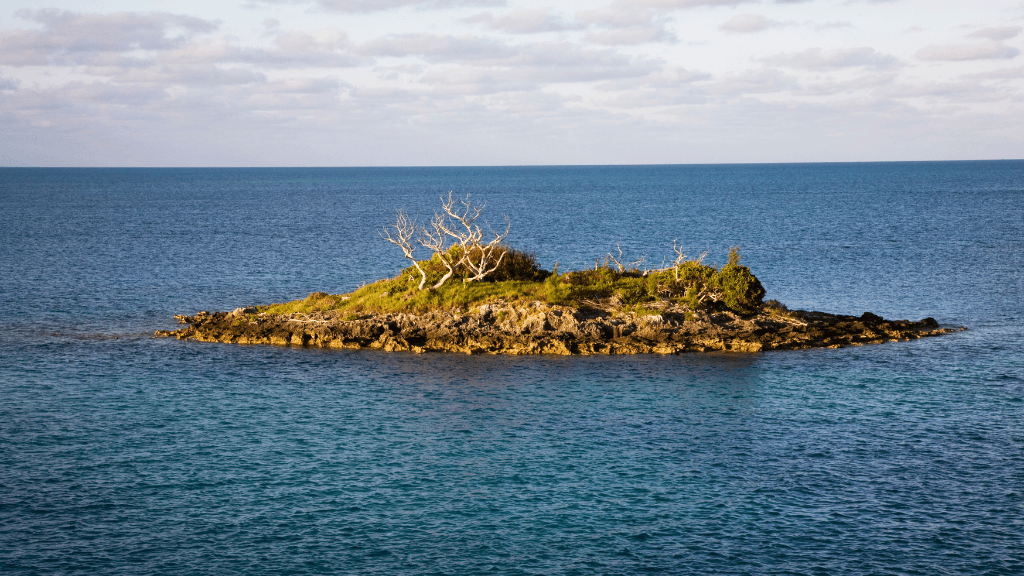 A lonely little island with a few shrubs on it.